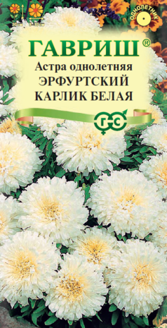 Астра Эрфуртский карлик Белая 0,3 г