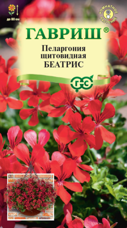 Пеларгония Беатрис, ампельная* 3 шт. Н22