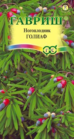 Ногоплодник крупнолистный Голиаф 3 шт. Ногоплодник крупнолистный Голиаф 3 шт.
