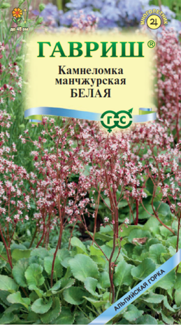 Камнеломка Белая (манчжурская) 0,01 г. сер. Альпийская горка