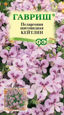 Пеларгония Кейтлин, ампельная* 3 шт. Н22