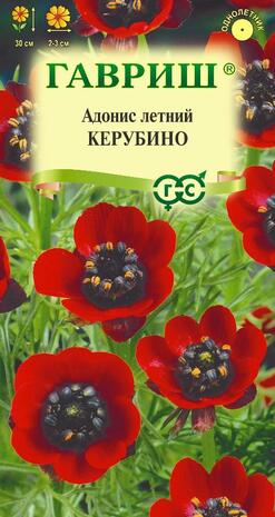 Адонис летний Керубино 0,1 г Адонис летний Керубино 0,1 г