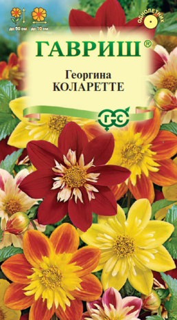 Георгина Коларетте  0,2 г  Н12