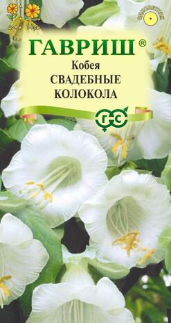 Кобея Лазящая Свадебные колокола 5 шт. Кобея Лазящая Свадебные колокола 5 шт.
