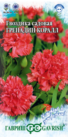 Гвоздика садовая Гренадин Коралл,* 0,05 г серия Устойчив к заморозкам!