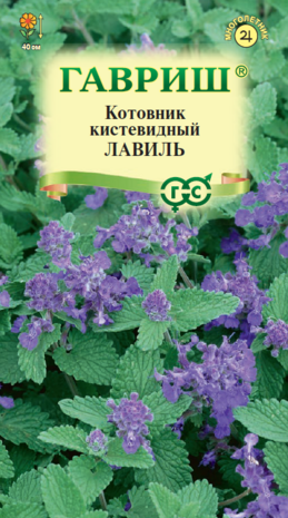Котовник кистевидный Лавиль 0,03 г Н22 Котовник кистевидный Лавиль 0,03 г Н22