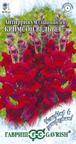 Антирринум (Львиный зев) Кримсон вельвет* 0,05 г серия Устойчив к заморозкам! Антирринум (Львиный зев) Кримсон вельвет* 0,05 г серия Устойчив к заморозкам!