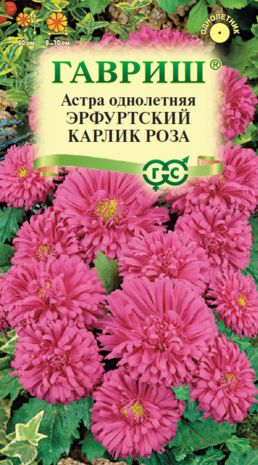 Астра Эрфуртский карлик Роза 0,3 г