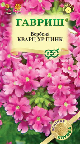 Вербена Кварц XP Пинк, гибридная* 4 шт. серия Элитная клумба 