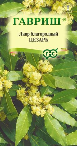 Лавр благородный Цезарь 3 шт. Н10