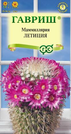 Маммиллярия (Кактус) Летиция 2 шт. Н22