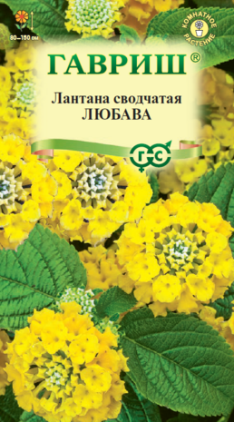Лантана Камара Любава*  0,1 г