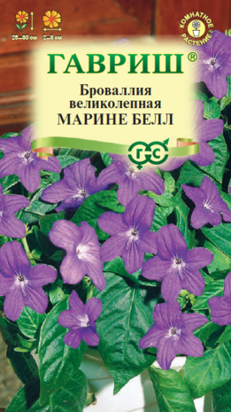 Броваллия Марине Белл* 3 шт. серия Элитная клумба