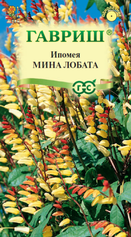 Ипомея лопастная Мина Лобата 0,5 г