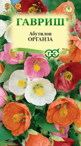 Абутилон Органза,* смесь 7 шт. 