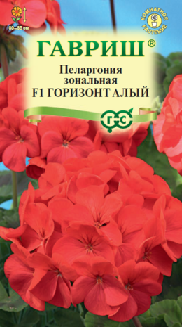 Пеларгония Горизонт алый F1 зональная *4 шт. Н18