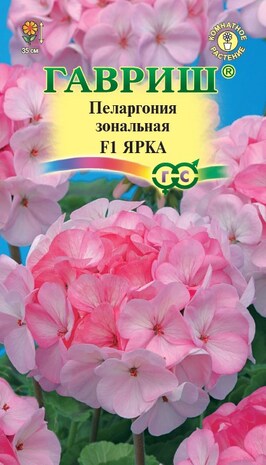 Пеларгония Ярка F1зональная * 4 шт. Н10
