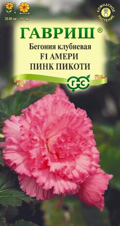 Бегония Амери пинк пикоти F1 клубневая гранул. 4 шт. пробирка Н23