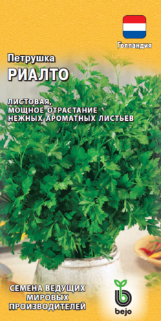 Петрушка листовая Риалто 1,0 г (Голландия) Н14 Петрушка листовая Риалто 1,0 г (Голландия) Н14