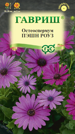 Остеоспермум Пэшн роуз  3 шт. Н23