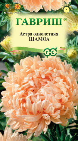 Астра Шамоа 0,3 г, пионовидная