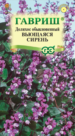 Долихос/Гиацинтовые бобы/ Вьющаяся сирень 4 шт.  Долихос/Гиацинтовые бобы/ Вьющаяся сирень 4 шт.
