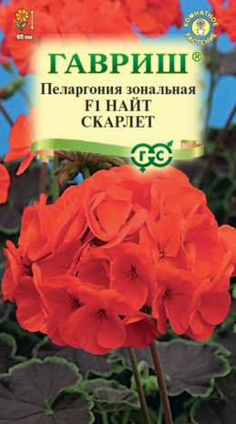 Пеларгония Найт Скарлет F1зональная* 4 шт. Н10 Пеларгония Найт Скарлет F1зональная* 4 шт. Н10
