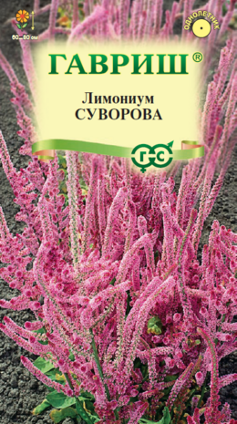 Лимониум Суворова розовый* 0,01 г