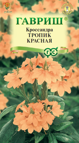 Кроссандра Тропик красная * 3 шт.  Кроссандра Тропик красная * 3 шт.