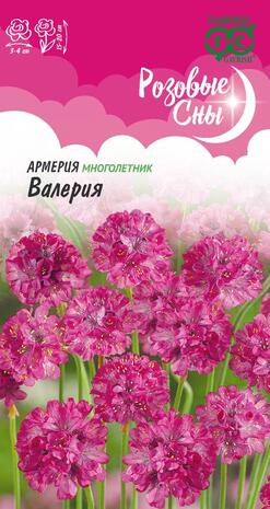 Армерия Валерия (приморская) 0,02 г, серия Розовые сны Н21