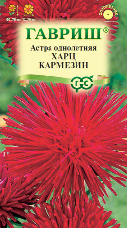 Астра Харц Кармезин 0,3 г, тонкоигольчая темно-красная