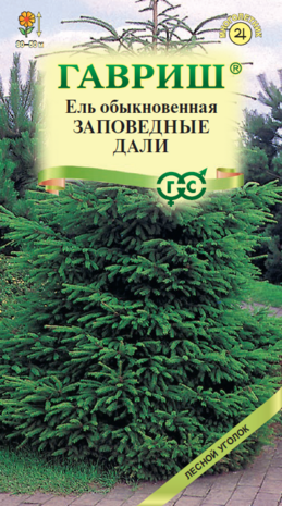 Ель обыкновенная Заповедные дали 0,5 г Ель обыкновенная Заповедные дали 0,5 г