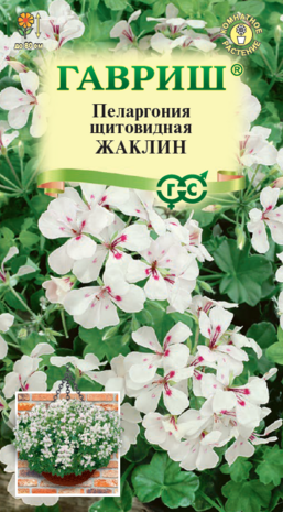 Пеларгония Жаклин, ампельная* 3 шт. Н22 Пеларгония Жаклин, ампельная* 3 шт. Н22