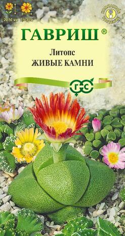 Литопс Живые Камни 5 шт. пробирка