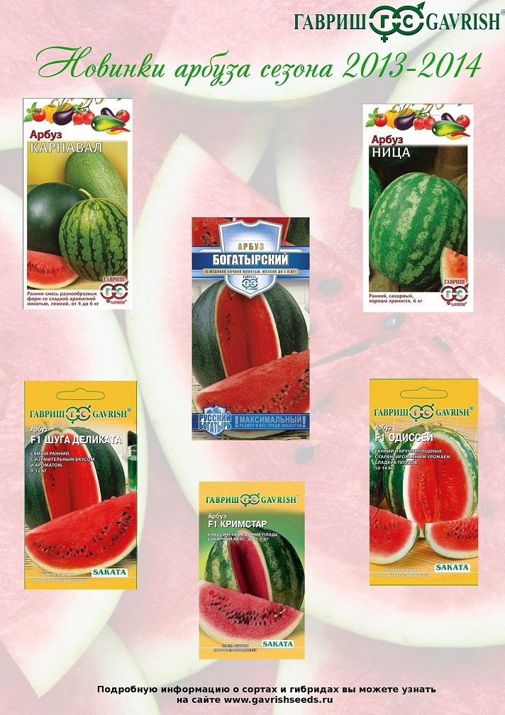 Новинки арбуза сезона 2013-2014